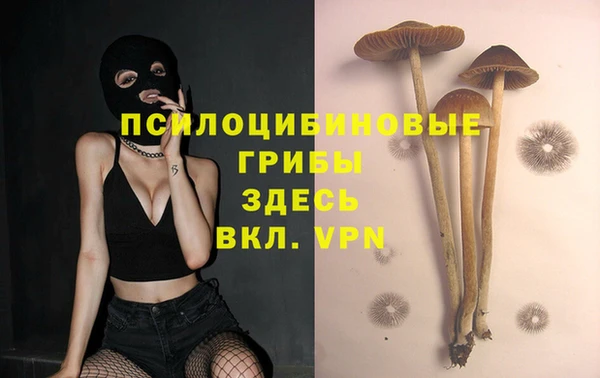 метамфетамин Богданович