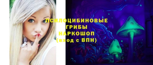 гидра Нязепетровск