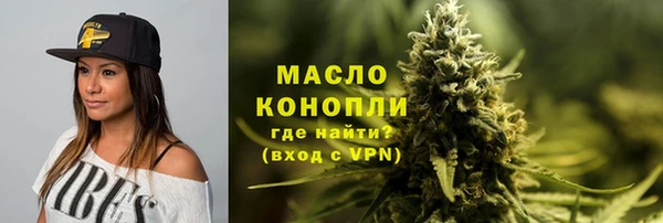 гашик Богородск