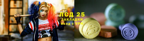 сатива Богородицк