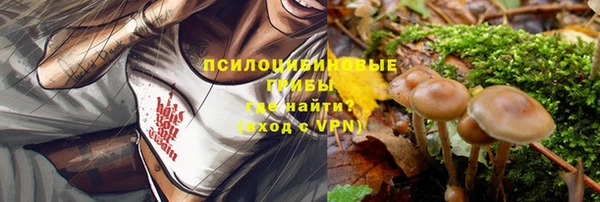 сатива Богородицк