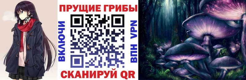кракен вход купить сайты Междуреченск Псилоцибиновые грибы GOLDEN TEACHER